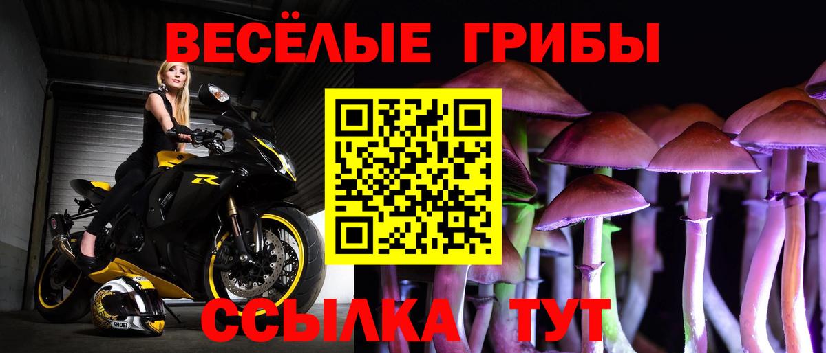 Псилоцибиновые грибы MAGIC MUSHROOMS  Галлюциногенные грибы прущие грибы  Вход с VPN  Шебекино 